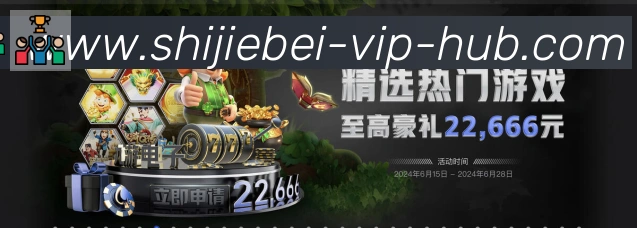 奖项证书